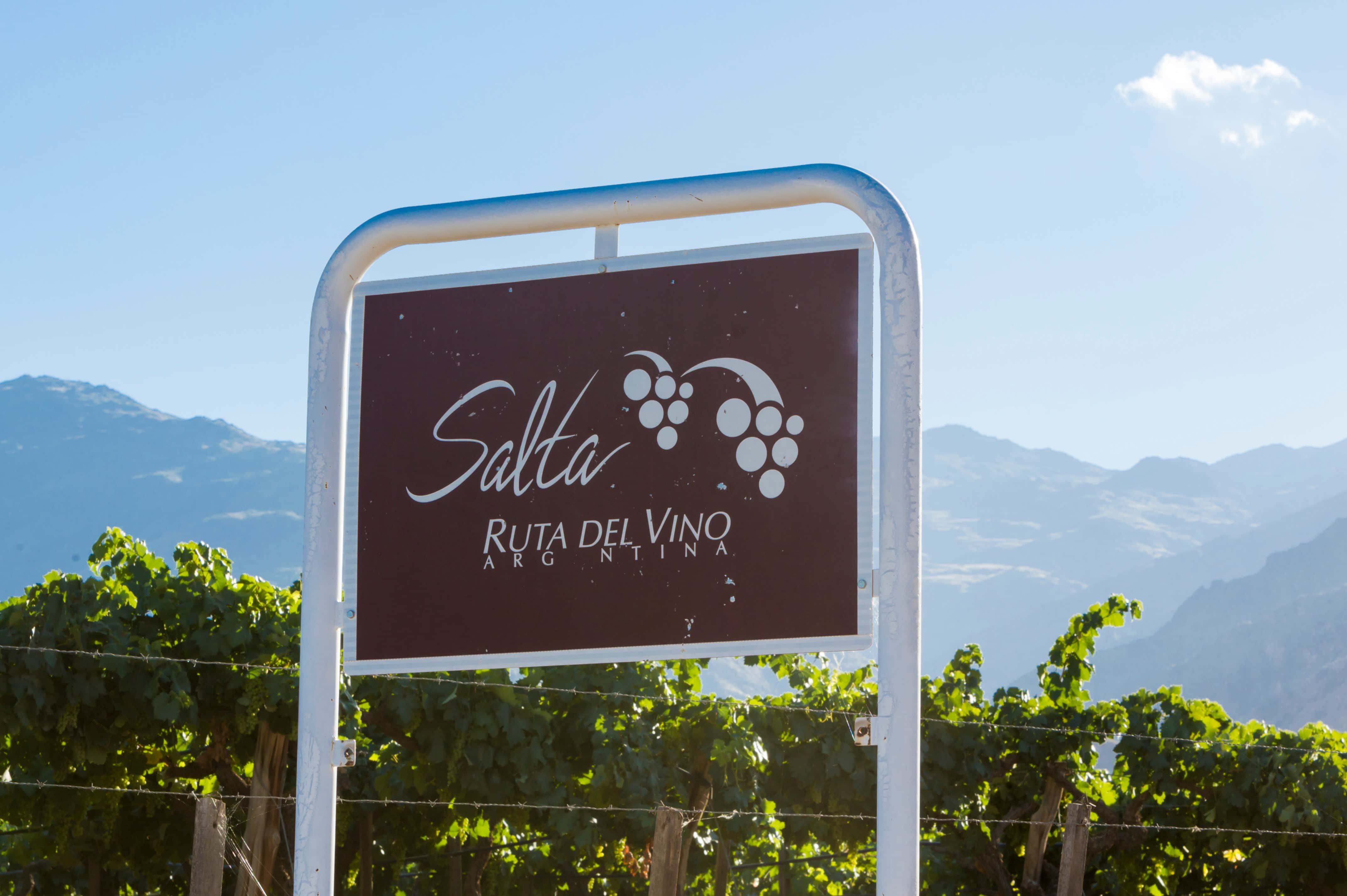 Wine route sign in Salta, Argentina's high-altitude vineyard region, surrounded by lush grapevines and Andean mountain backdrop.